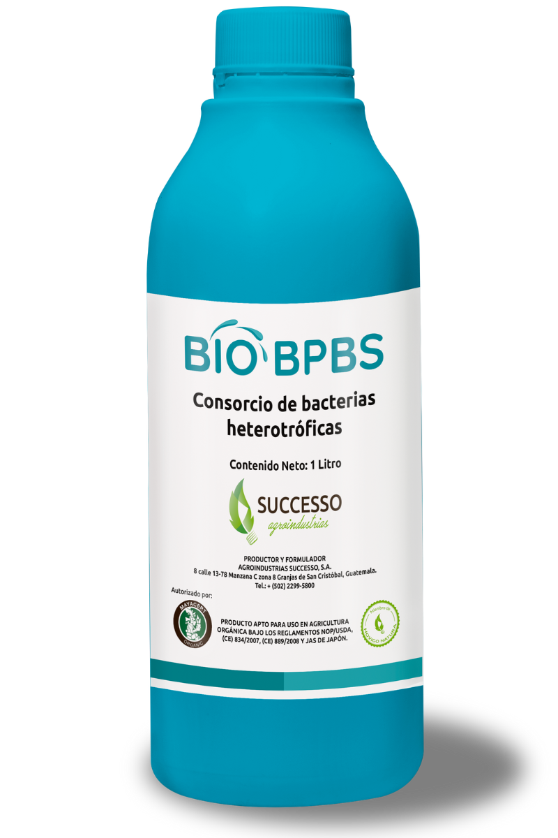 Bio BPBS - Successo