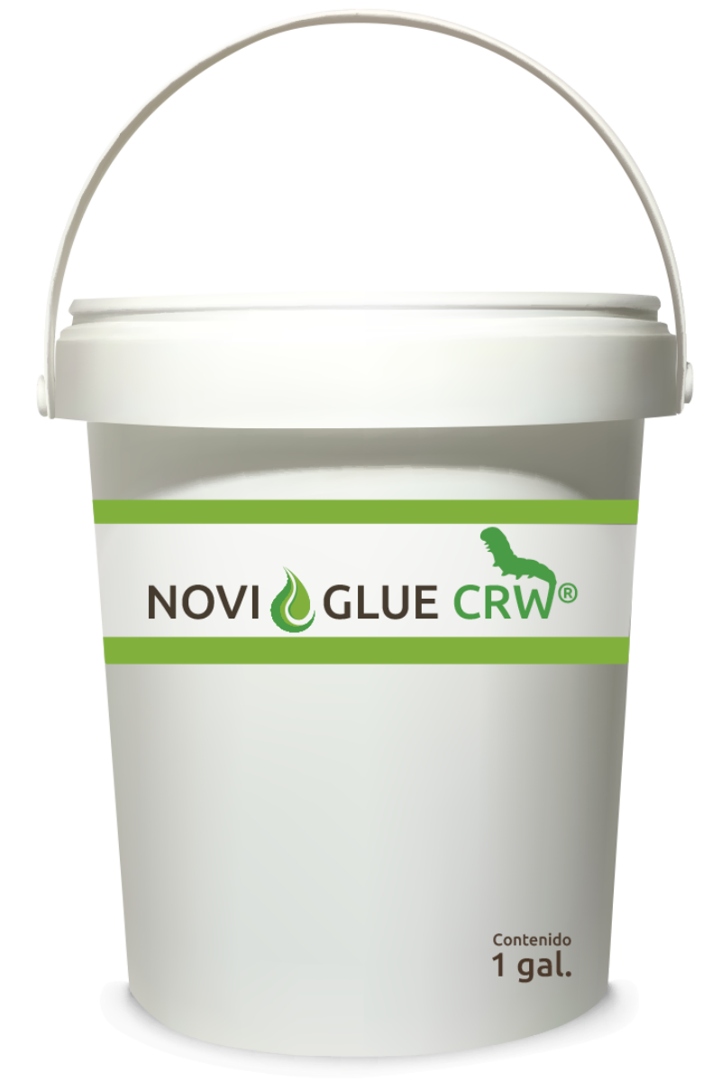 Novi Glue CRW - Successo