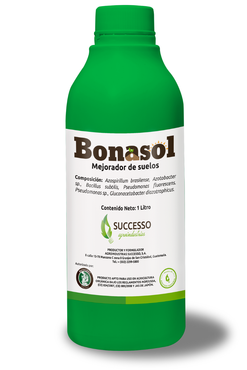 Bonasol - Successo