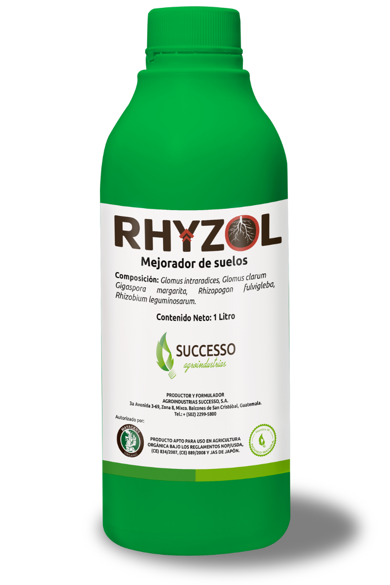 Rhyzol - Successo